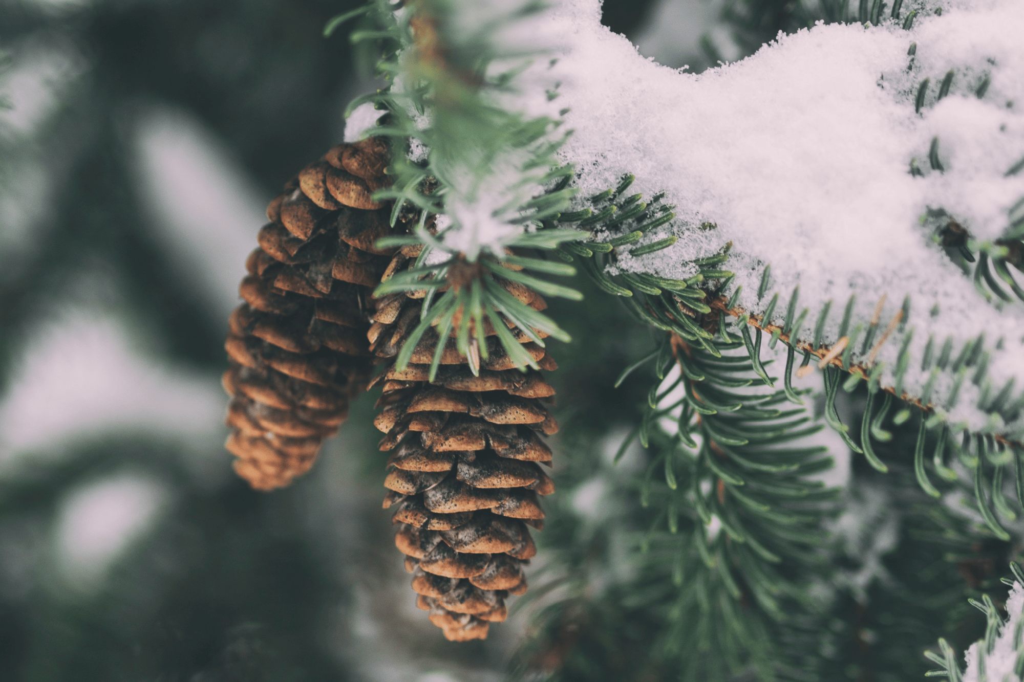 Untitled-1-1 Untitled-1-1